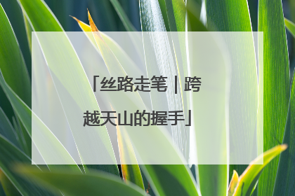 丝路走笔｜跨越天山的握手