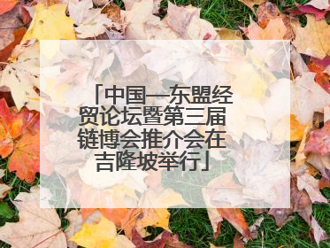 中国—东盟经贸论坛暨第三届链博会推介会在吉隆坡举行