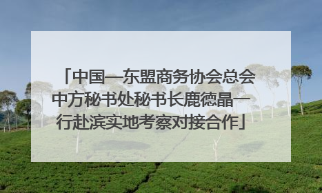 中国—东盟商务协会总会中方秘书处秘书长鹿德晶一行赴滨实地考察对接合作