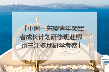 中国—东盟青年领军者成长计划研修班赴柳州三江多地研学考察