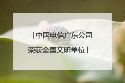 中国电信广东公司荣获全国文明单位