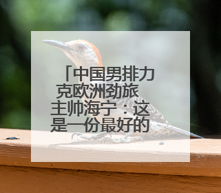 中国男排力克欧洲劲旅 主帅海宁：这是一份最好的生日礼物