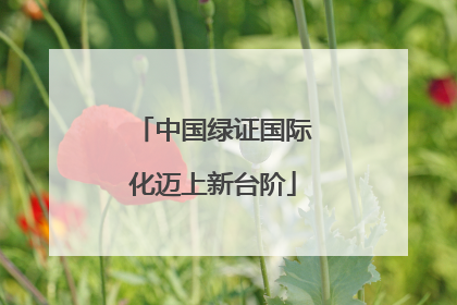 中国绿证国际化迈上新台阶