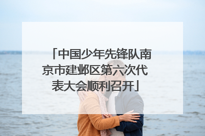 中国少年先锋队南京市建邺区第六次代表大会顺利召开