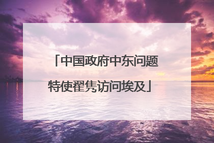 中国政府中东问题特使翟隽访问埃及