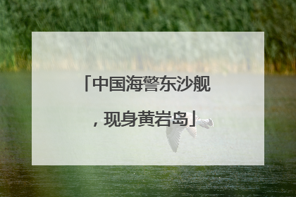 中国海警东沙舰，现身黄岩岛