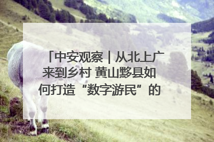 中安观察｜从北上广来到乡村 黄山黟县如何打造“数字游民”的“桃花源”？