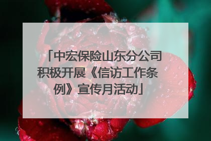 中宏保险山东分公司积极开展《信访工作条例》宣传月活动