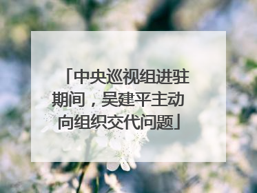 中央巡视组进驻期间，吴建平主动向组织交代问题