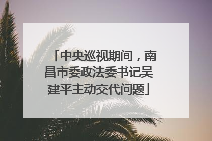 中央巡视期间，南昌市委政法委书记吴建平主动交代问题