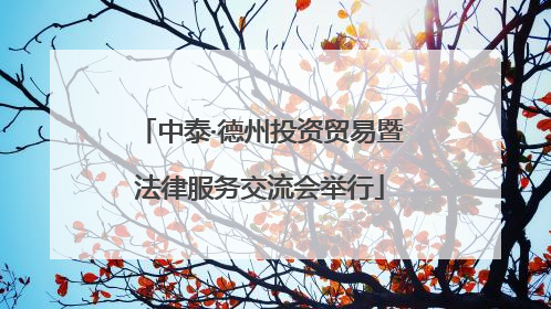 中泰·德州投资贸易暨法律服务交流会举行