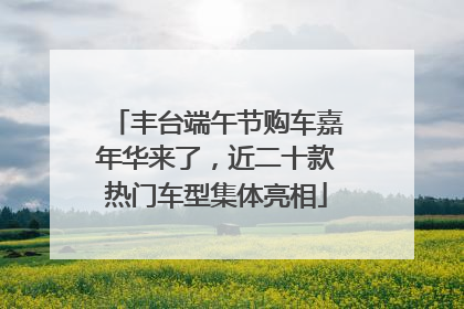 丰台端午节购车嘉年华来了，近二十款热门车型集体亮相