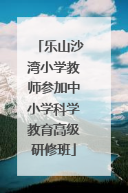 乐山沙湾小学教师参加中小学科学教育高级研修班
