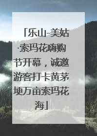 乐山-美姑·索玛花嗨购节开幕，诚邀游客打卡黄茅埂万亩索玛花海