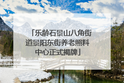 乐龄石景山八角街道景阳东街养老照料中心正式揭牌