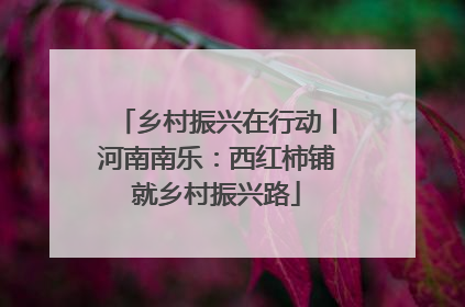 乡村振兴在行动丨河南南乐：西红柿铺就乡村振兴路