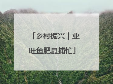 乡村振兴｜业旺鱼肥夏捕忙