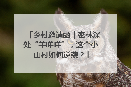 乡村邀请函｜密林深处“羊咩咩”，这个小山村如何逆袭？