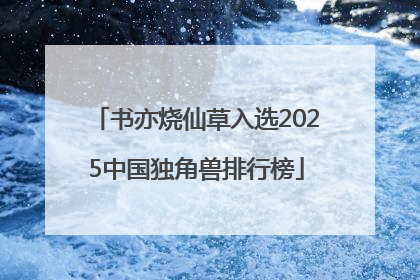 书亦烧仙草入选2025中国独角兽排行榜