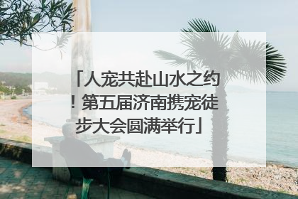 人宠共赴山水之约！第五届济南携宠徒步大会圆满举行