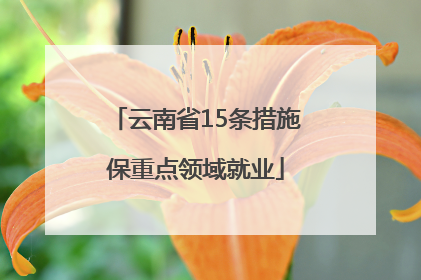 云南省15条措施保重点领域就业
