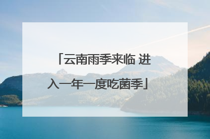 云南雨季来临 进入一年一度吃菌季