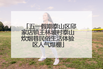 五一假期泰山区邱家店镇王林坡村泰山炊烟巷民俗生活体验区人气爆棚
