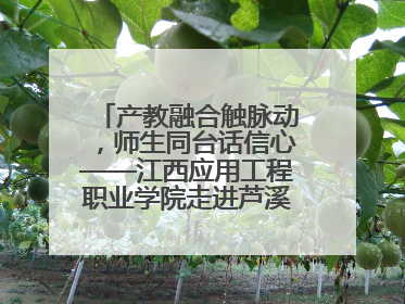 产教融合触脉动，师生同台话信心——江西应用工程职业学院走进芦溪电瓷产业园创新思政课堂