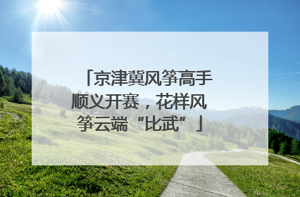 京津冀风筝高手顺义开赛，花样风筝云端“比武”