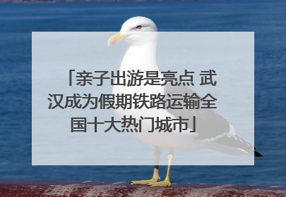 亲子出游是亮点 武汉成为假期铁路运输全国十大热门城市