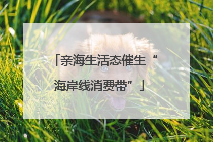 亲海生活态催生“海岸线消费带”