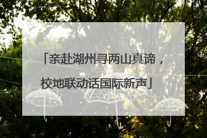 亲赴湖州寻两山真谛，校地联动话国际新声