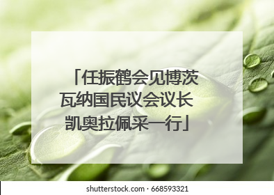 任振鹤会见博茨瓦纳国民议会议长凯奥拉佩采一行