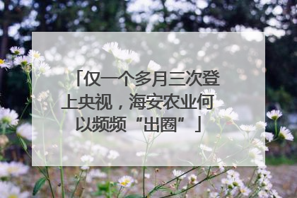 仅一个多月三次登上央视，海安农业何以频频“出圈”