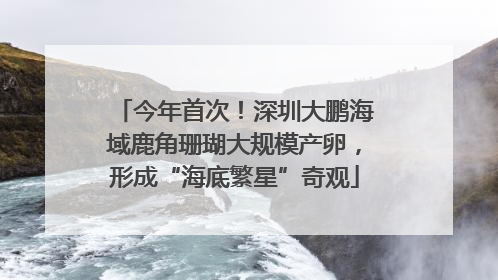 今年首次！深圳大鹏海域鹿角珊瑚大规模产卵，形成“海底繁星”奇观
