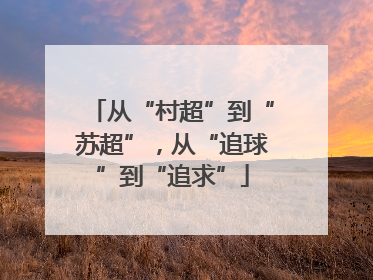 从“村超”到“苏超”，从“追球”到“追求”