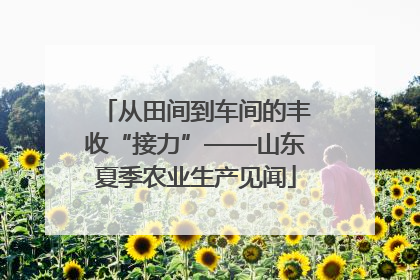 从田间到车间的丰收“接力”——山东夏季农业生产见闻