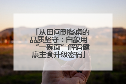 从田间到餐桌的品质坚守：白象用“一碗面”解码健康主食升级密码