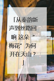 从秦韵新声到丝路回响 这朵“梅花”为何开在天山？