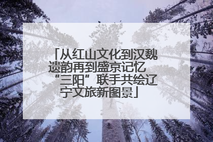 从红山文化到汉魏遗韵再到盛京记忆 “三阳”联手共绘辽宁文旅新图景