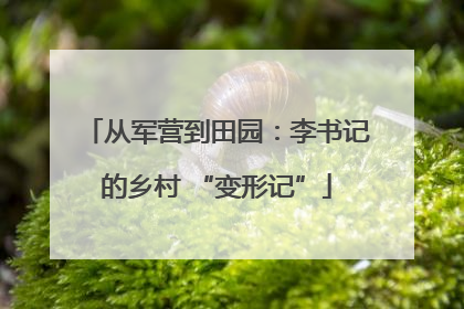 从军营到田园：李书记的乡村 “变形记”