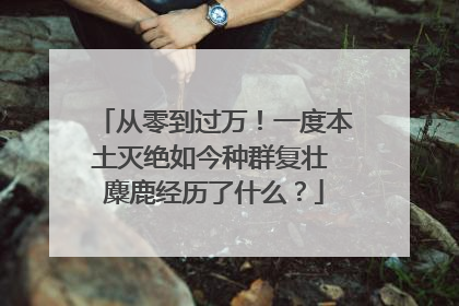 从零到过万！一度本土灭绝如今种群复壮 麋鹿经历了什么？