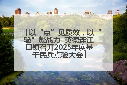 以“点”见质效，以“验”凝战力  英德连江口镇召开2025年度基干民兵点验大会