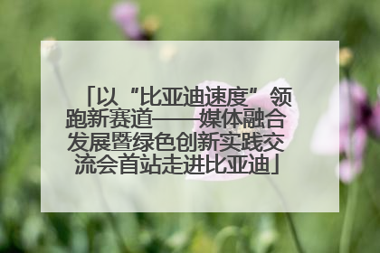 以“比亚迪速度”领跑新赛道——媒体融合发展暨绿色创新实践交流会首站走进比亚迪
