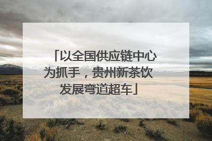 以全国供应链中心为抓手，贵州新茶饮发展弯道超车