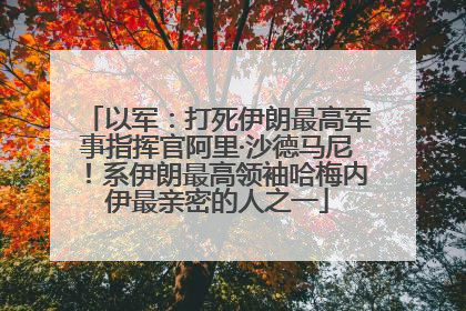 以军：打死伊朗最高军事指挥官阿里·沙德马尼！系伊朗最高领袖哈梅内伊最亲密的人之一