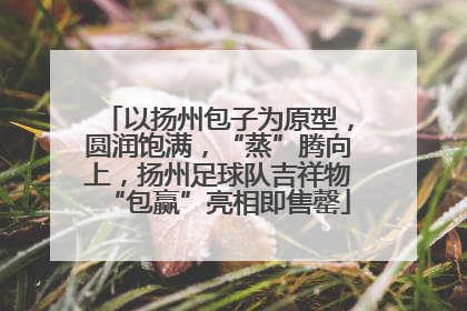 以扬州包子为原型，圆润饱满，“蒸”腾向上，扬州足球队吉祥物“包赢”亮相即售罄