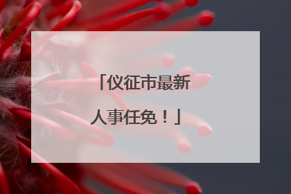 仪征市最新人事任免！