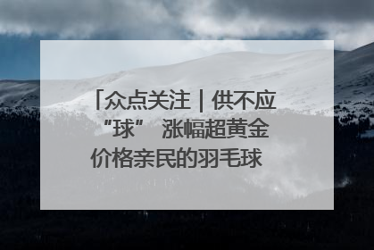 众点关注｜供不应“球” 涨幅超黄金 价格亲民的羽毛球为何身价飞涨？