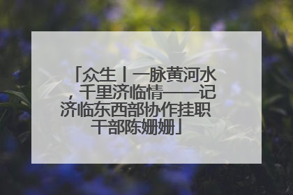 众生丨一脉黄河水，千里济临情——记济临东西部协作挂职干部陈姗姗